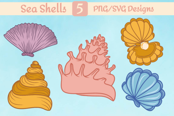 Shell Magic Set Review: Coastal Vibes for Embroidery